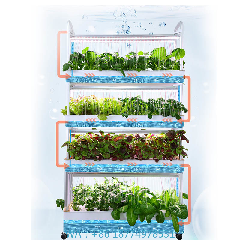 ydroponic Planting System Smar - Home Automation System Diy review and price